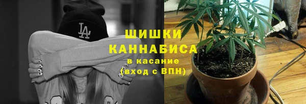 бошки Алзамай