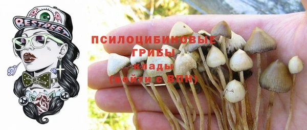 бошки Алзамай